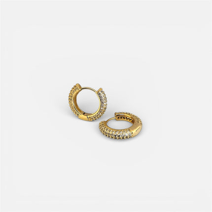 Half hoop zirconia earrings