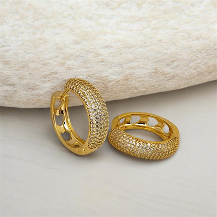 Hoop zirconia earrings