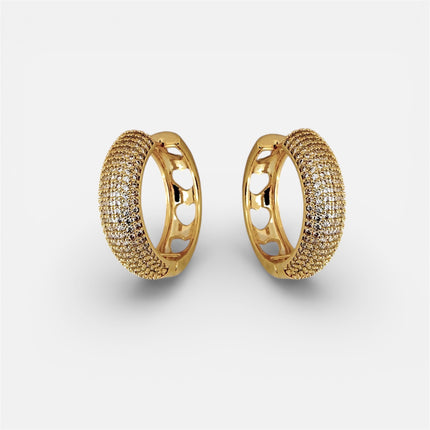 Hoop zirconia earrings