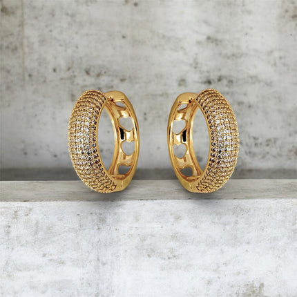 Hoop zirconia earrings