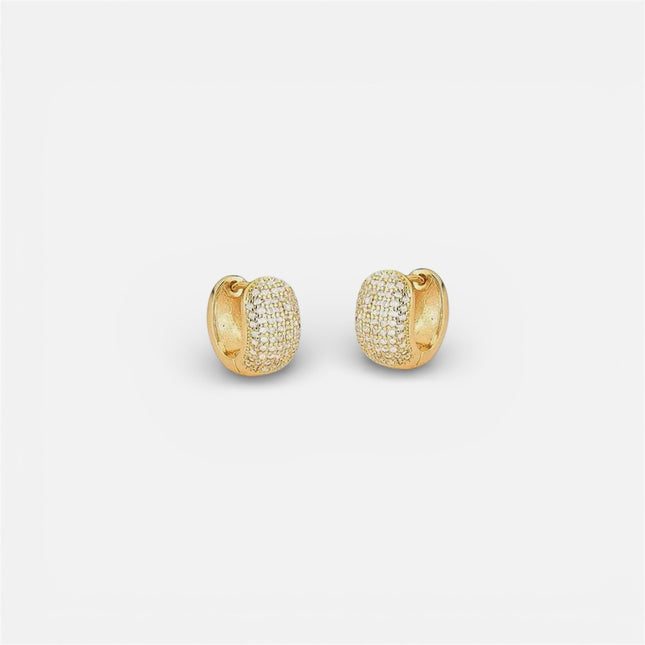 Hoop zirconia earrings
