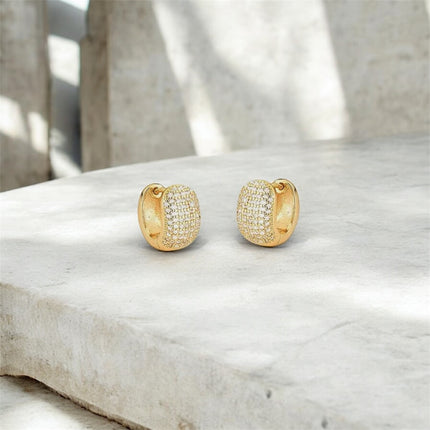 Hoop zirconia earrings