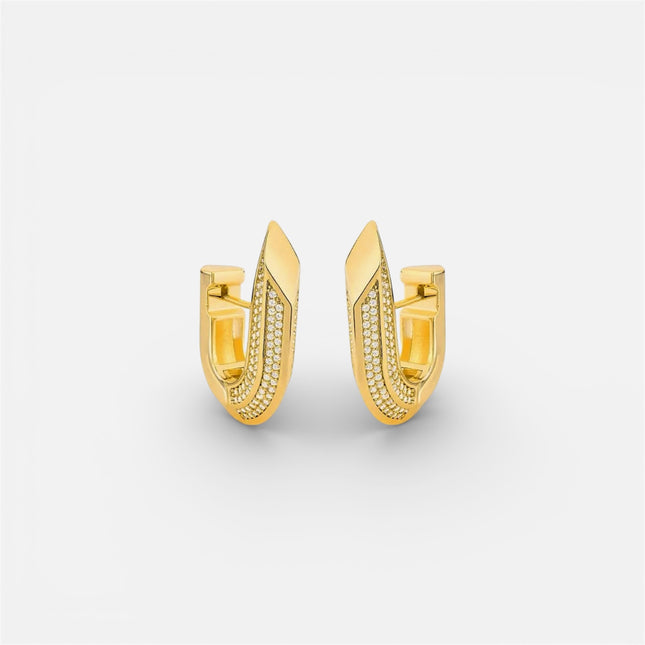 Hoop zirconia earrings